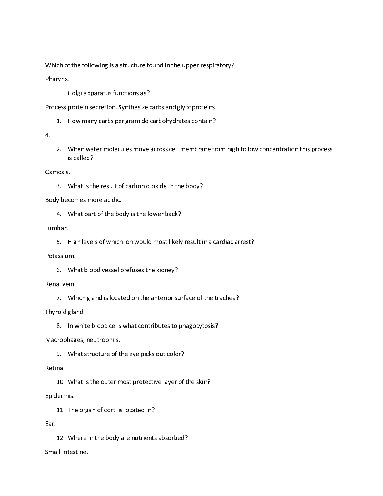 document-preview